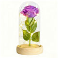 Eternal Rose in Glass Dome with LED Lights – Forever Flower Gift for Her, Christmas & Valentine’s Day